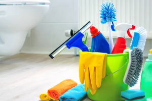 Messie Reinigung Monheim Am Rhein